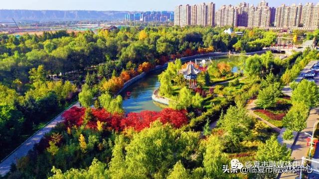 飞阅花都④丨漫步东郊公园 邂逅秋日风光 静享“天然氧吧”