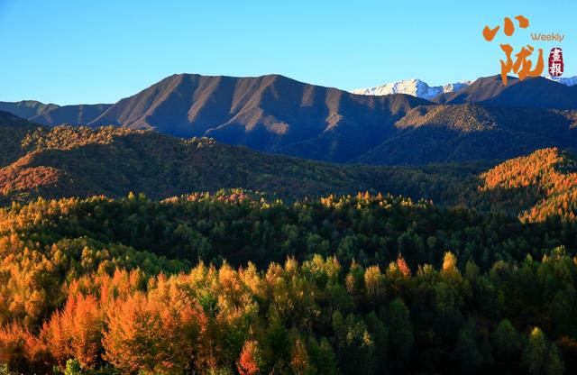 【小陇画报·430期】康乐：深秋美景如画卷 韵味盎然醉眼眸