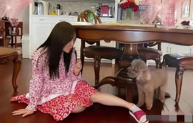 杨钰莹自家豪宅种辣椒 有收获了 50多岁了 精致的像18岁少女 绝了