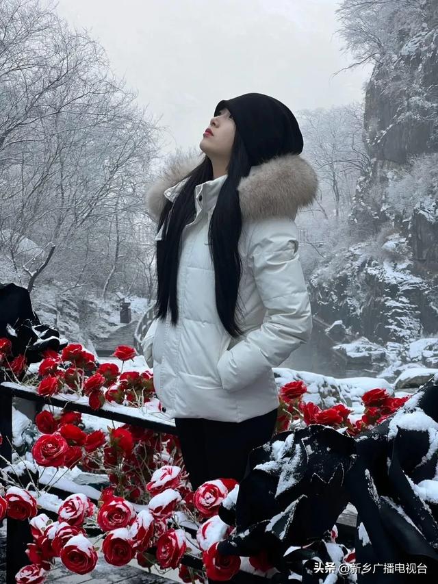 新乡南太行免门票了~