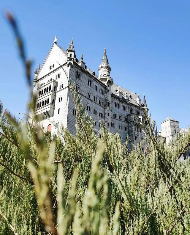 解锁宝藏标地、花植印章和惊喜福利！来花乡，开启秋日的City Walk——