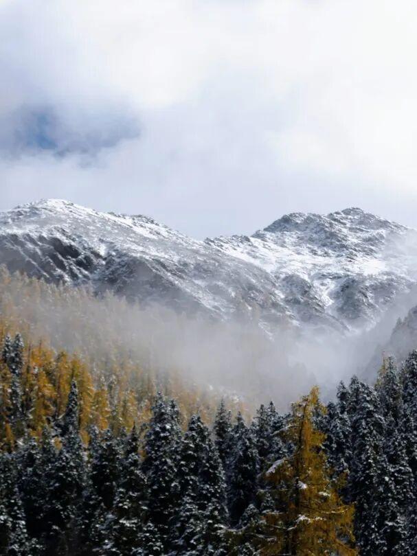 达古秋韵｜当第一缕晨光吻过云海，这里正上演秋日的浪漫相遇