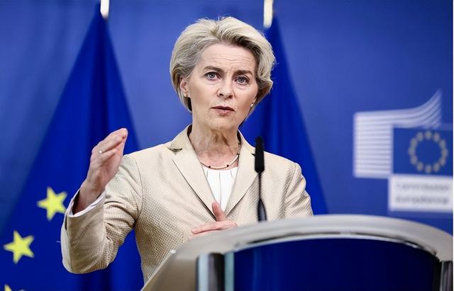 31国跟随美国遏华	，法国一夜之间开始转向，当着马克龙心腹的面，王毅外长送给欧盟两句话