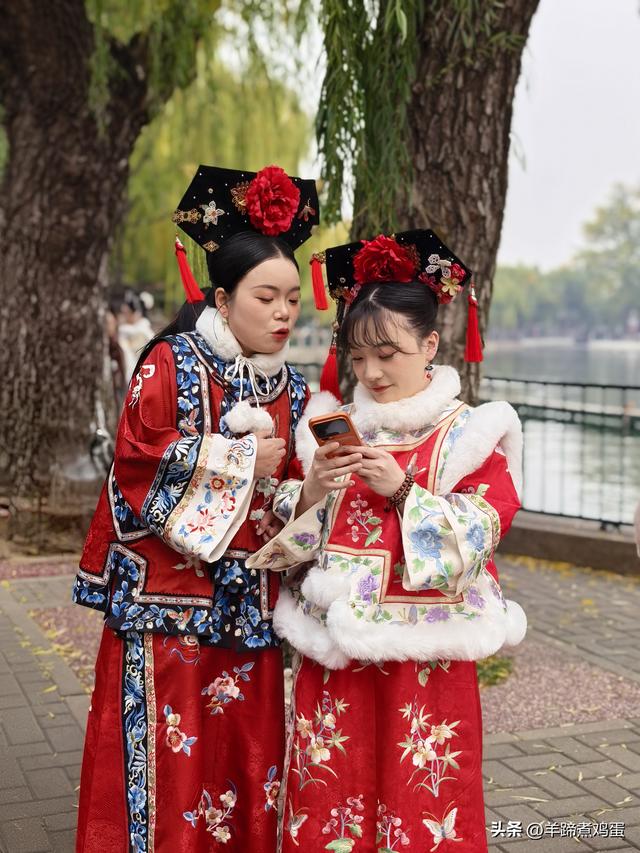 秋风独宠一园菊，晚来香艳出樊篱——北京北海公园2025年菊花展