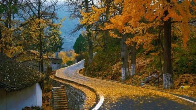 警告！深秋的徽县，千万别出门！因为……