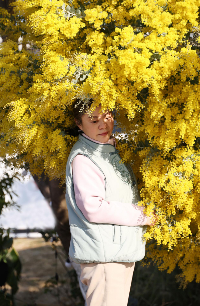 快看→西昌的满树金黄云！