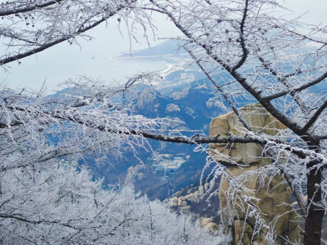 下雪啦！崂山“仙境体验卡”，限时开启