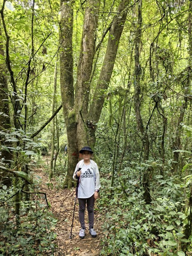 带小朋友去贵州茂兰,连环探洞加漏斗原始森林徒步二日游全攻略!
