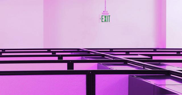 新论文发现证据表明人工智能已经在扼杀年轻人的就业市场|