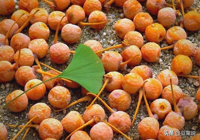 日本人靠它发财，美国人用它打仗，中国人却把它当毒药扔进垃圾桶