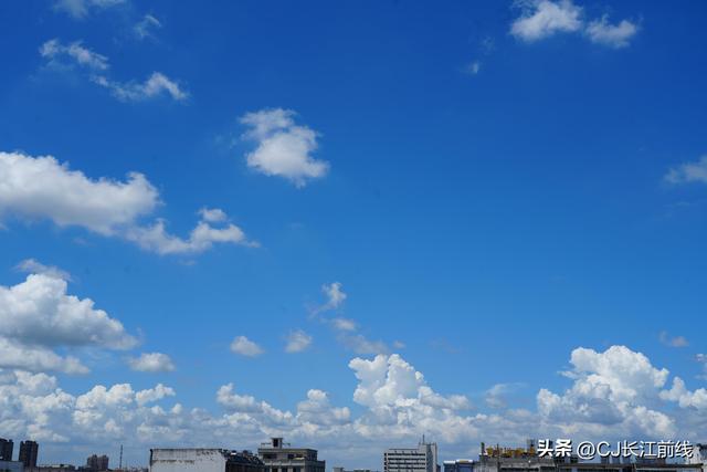 河南淮滨：城区现云海“飘”美景