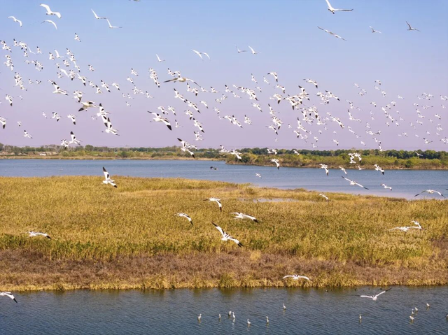 杭州秋冬的“多巴胺”美景来啦～