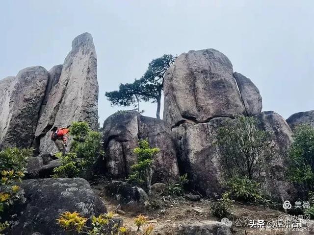 浙江隐藏一座“小黄山”,风光绝美还没门票,秋日徒步好去处!
