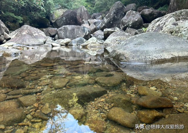 秋日赏玩来浙江“限免”4A景区吧，95%的森林覆盖率，超惊艳！