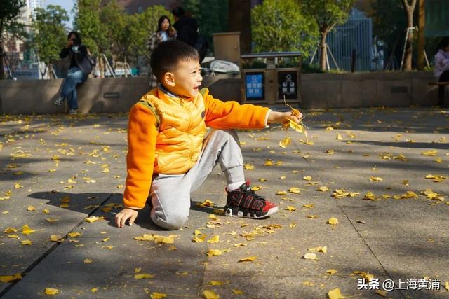 市中心的“金色会客厅”，成为了最欢乐的海洋！