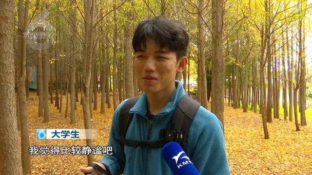 冬天的昆明，盛满了温柔的金黄色