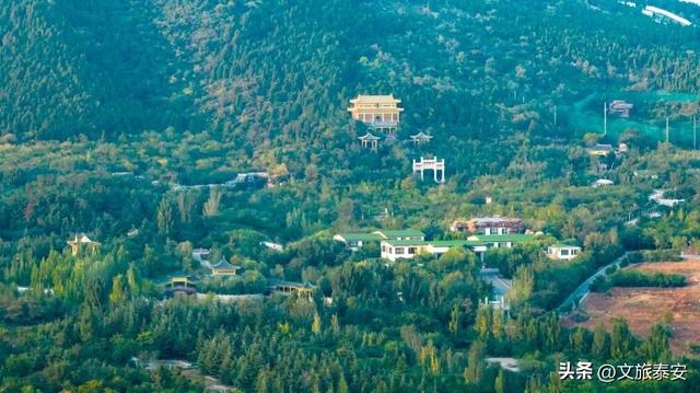 极速漂流、山地滑车、音乐露营……泰安当下最流行的「冷系」浪漫在这里！
