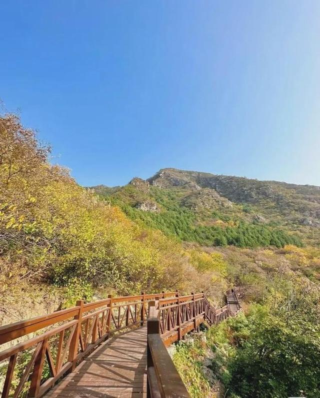 初秋→深秋，昌平这 7 条赏秋线路必冲！（二）