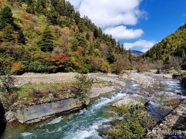 大熊猫栖息地——宝兴神木垒风光