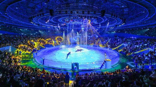 郑州海昌“海昌海洋神仙节”焕新贺岁，海洋非遗国潮点亮马年新春