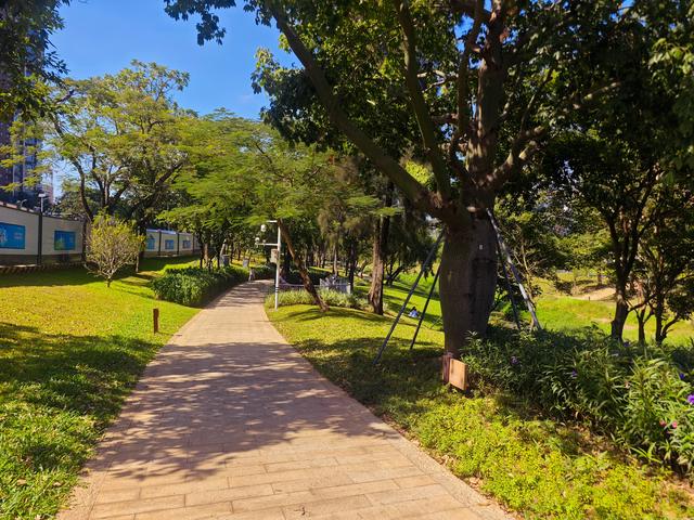 从学苑大道入大沙河绿过大学城后进深圳弯公园流花山景点【高清】