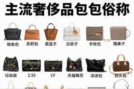 主流奢侈品牌经典包款及常见俗称盘点‼️图片