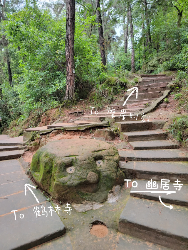 邛崃白鹤山千年绿道，成都0.5h直达，玩转古寺禅意+森系秘境！