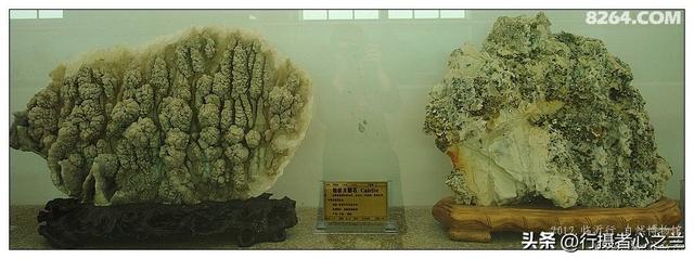 山东行游影记（31）—平邑天宇自然博物馆（六）