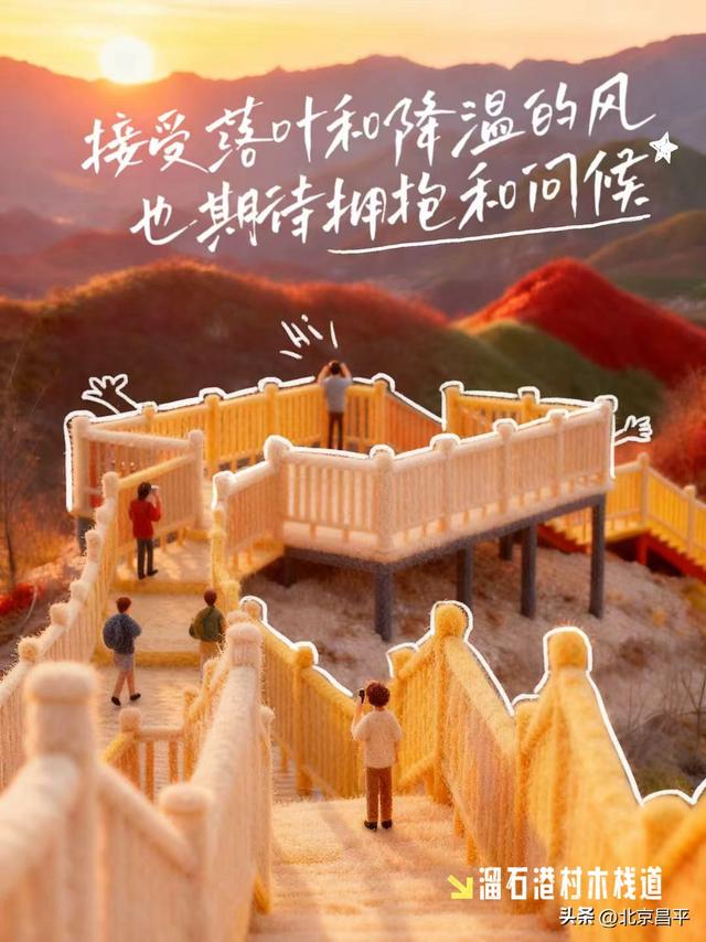 降温啦！一起拥抱“毛茸茸”的冬天