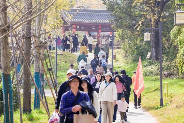 银杏谷旅游度假区缘何火爆出圈？