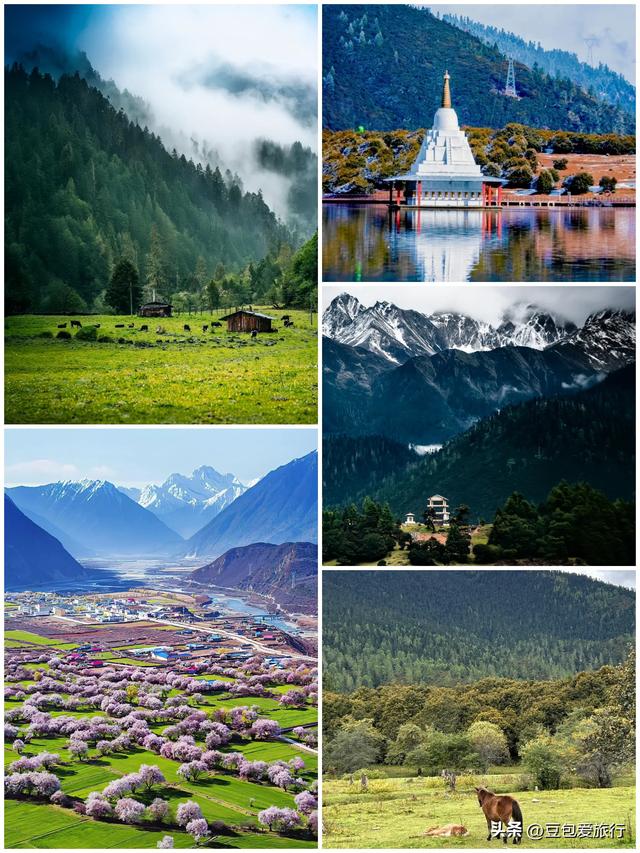 西藏林芝深度游：邂逅雪山桃花与森林的浪漫
