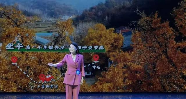 随州金牌导游诞生！把随州故事讲给更多人听