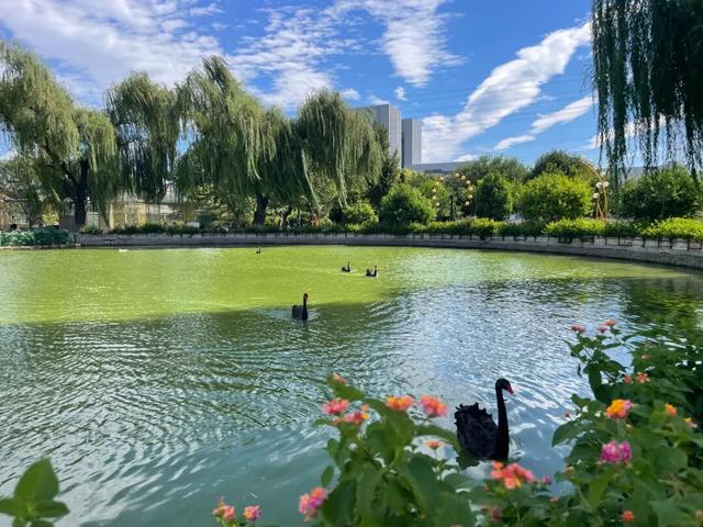 北京市景区购票服务平台上线试运行~首批上线丰台8家景区！