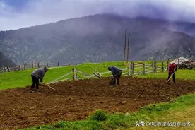 进城落户农民要知道：土地“三权”有保障，自愿退地可获补偿图片