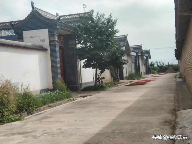 泾川县汭丰镇东王村：寻一处乡野，赴一场闲逸