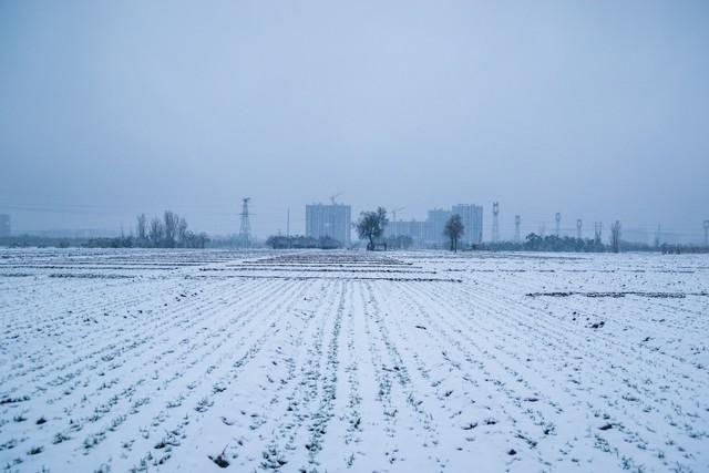 “不怕小雪阴一天，就怕小雪一天晴”，今日小雪，晴天有啥预兆？
