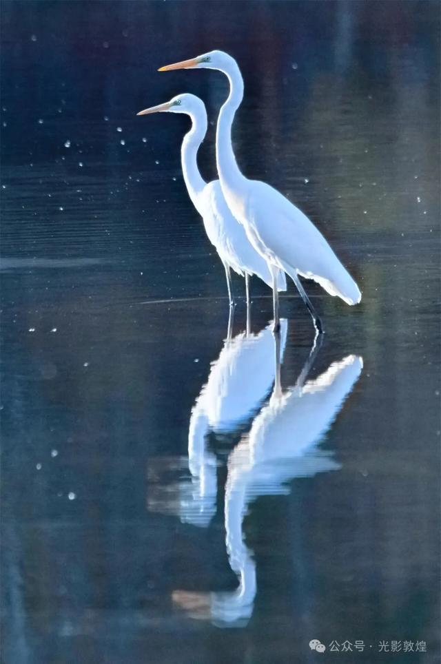 【近距离看敦煌】给党河风情线的秋色来个特写