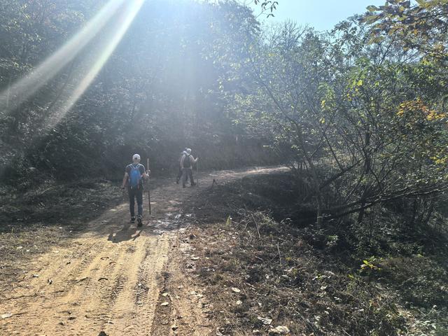 南京龙尚湖，大连山，佘村一日郊野徒步