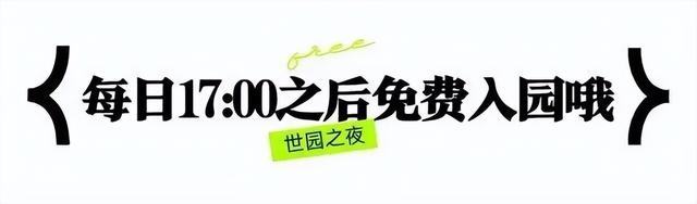浪漫满满！北京的夏夜活动超多！