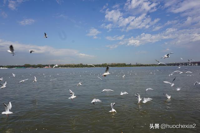 3200公里东北行（D2）——哈尔滨松花江畔