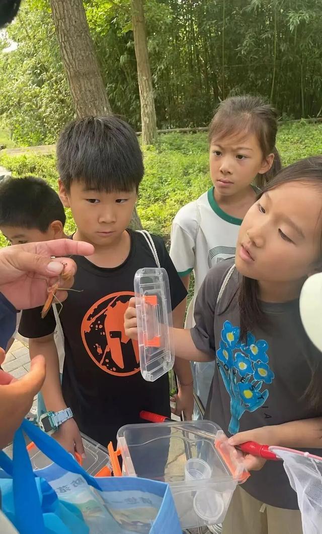 秋色浓，叶渐红！彩叶观赏尽在丰台这里——