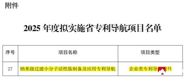 岱岳区1项目入选2025年省专利导航项目名单