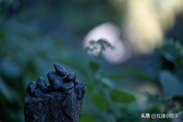 高品质成像：大光圈变焦镜头腾龙 35-150mm F/2-2.8 Di III VXD 评测