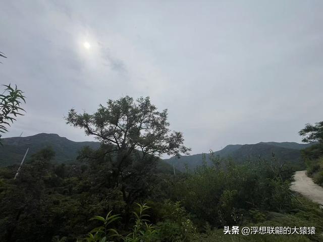 在邹平上回村可以攀爬摩诃峰，但俺没爬，俺买了农家菜打了山泉水
