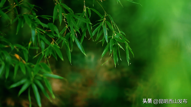 白鱼村，西山区绝佳的隐身栖居之所