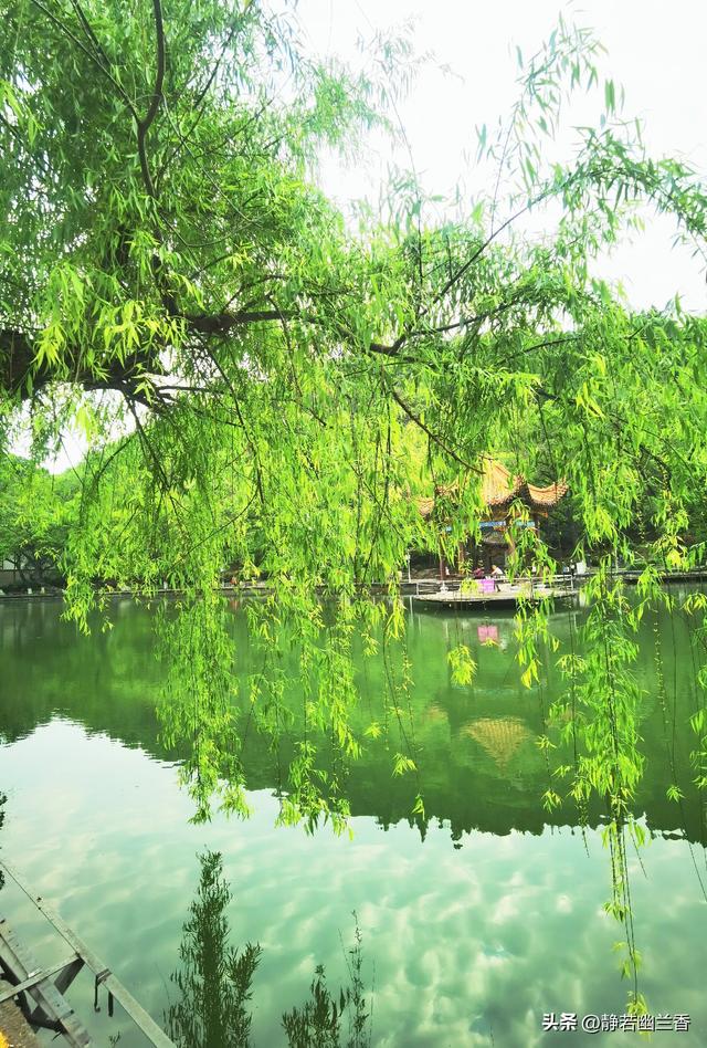 拥抱春天的绿水青山