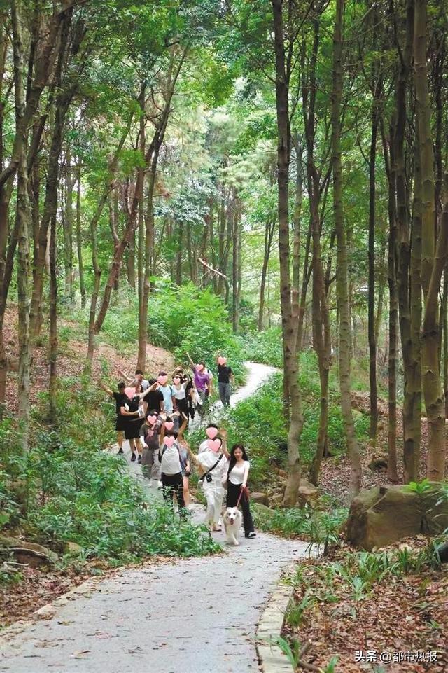 厢遇耍市丨同合拍的人 一起踏秋、合拍