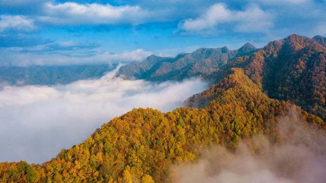 住下来，才懂秦岭的秋：留坝小城5日慢行指南