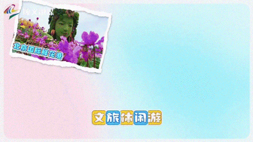 顺义潮闪节怎么玩？跟着推广大使张晓龙就对了