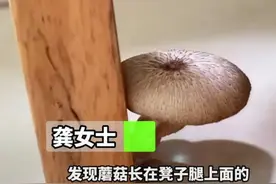 笑不活！广东连续两个月下雨，广东老铁：请把雨下到隔壁广西吧图片